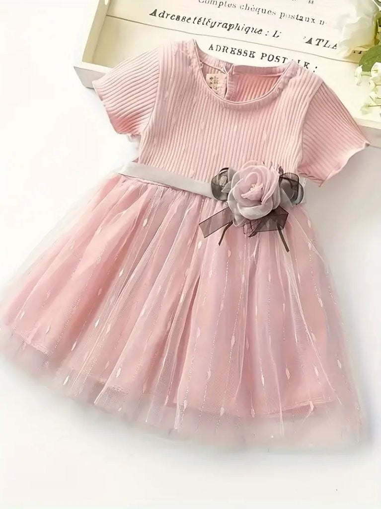 Baby Delicate Soft Pink Mesh Dress
