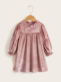 Toddler Girls Dusty Pink Velvet Dress