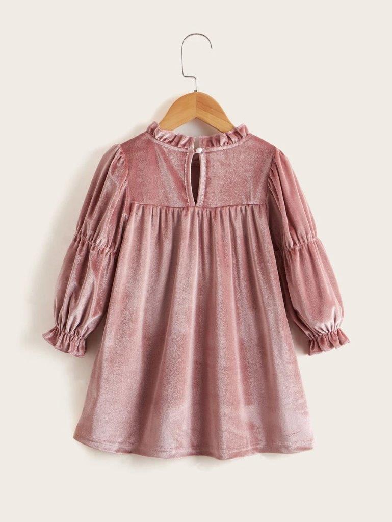 Toddler Girls Dusty Pink Velvet Dress