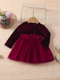 Baby Velvet Mesh Dress