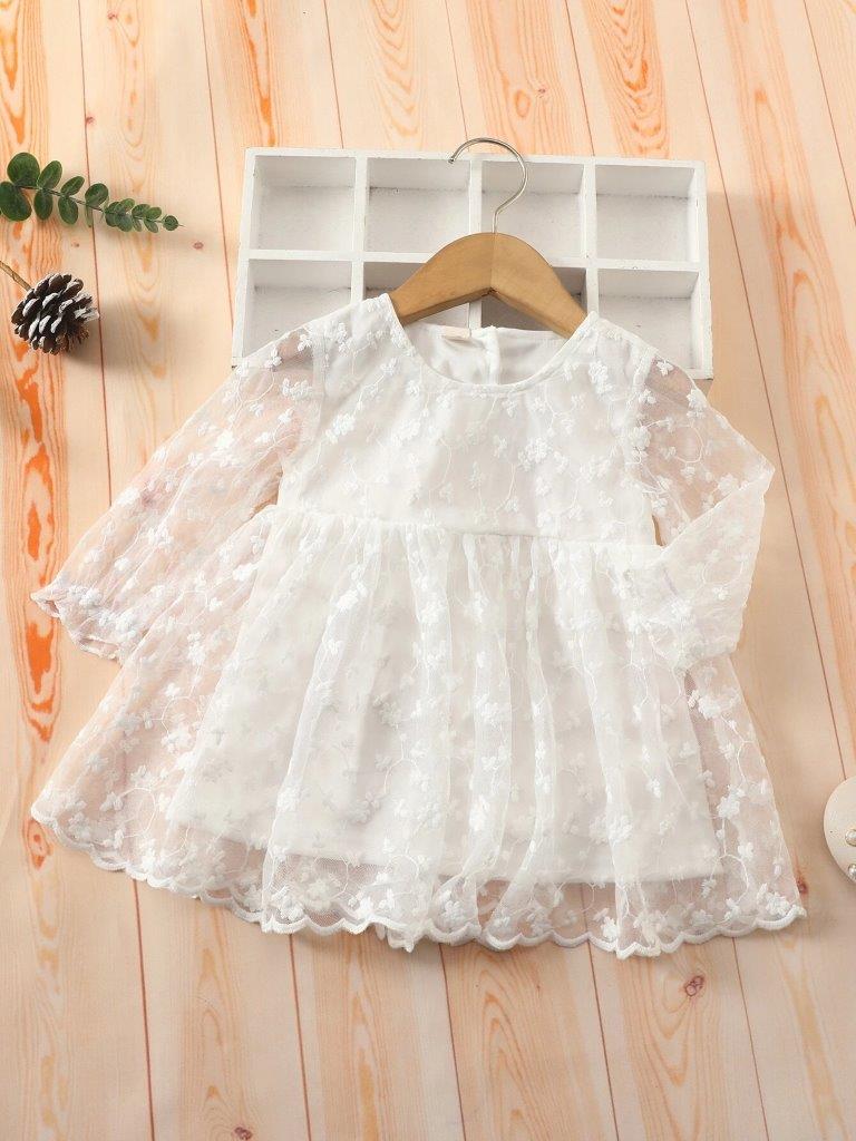 Baby Ruffle Sleeve Lace Dress