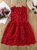 Toddler Girls Lace Dress