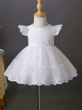 Baby Lace Ruffle Sleeve Dress