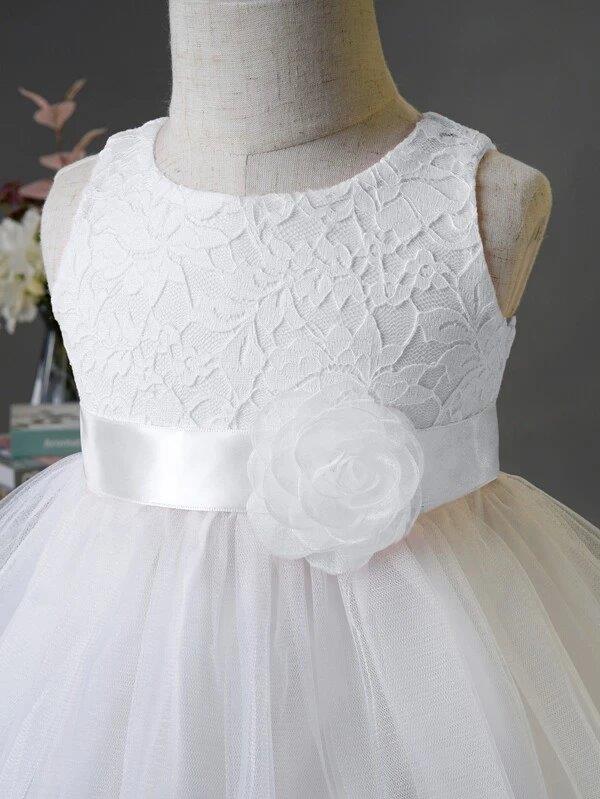 Baby Lace Mesh Party Dress