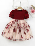 Toddler Girls Butterfly Embroidered Dress