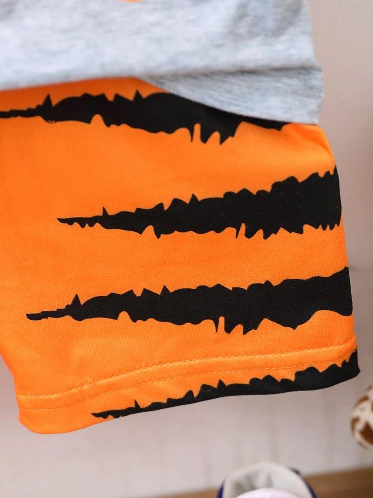 Baby Tiger Tee And Shorts