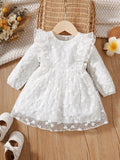 Baby Embroidery Ruffle Mesh Dress