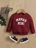 Baby Unisex Graphic Pullover Burgundy