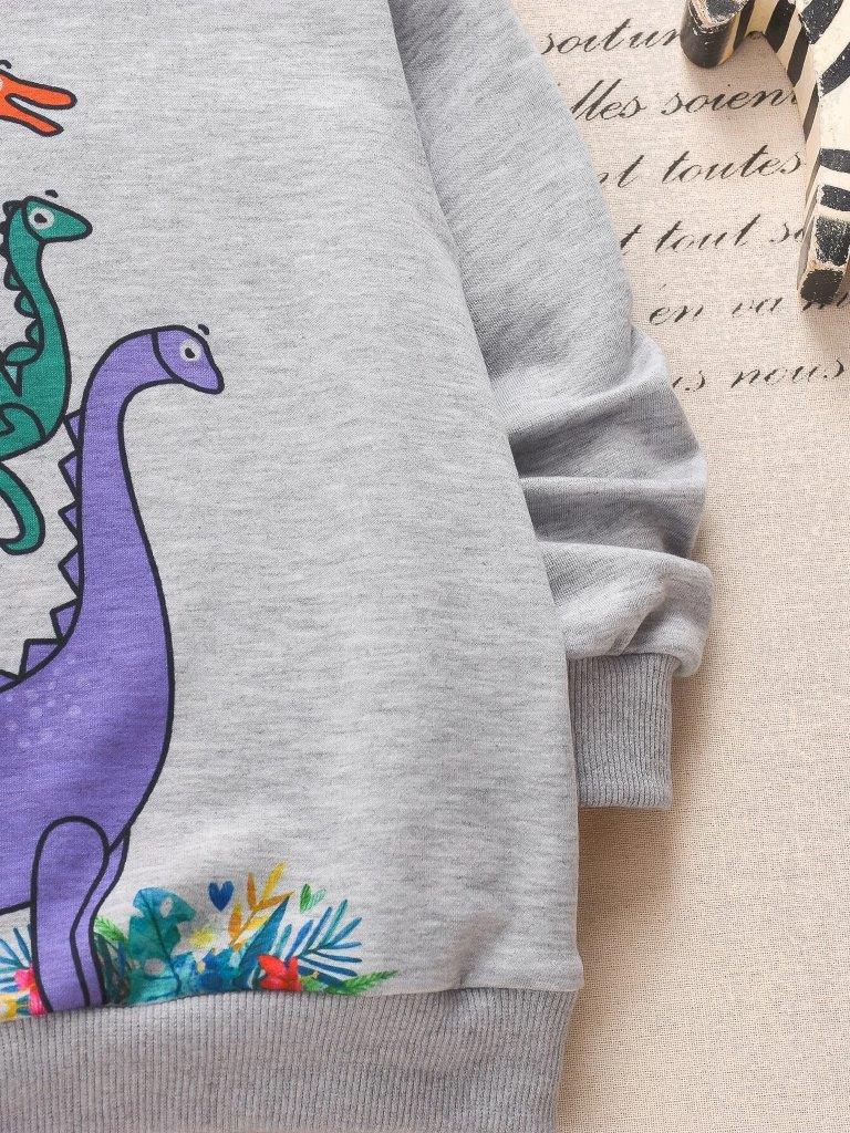 Toddler Boys Dinosaur Pullover