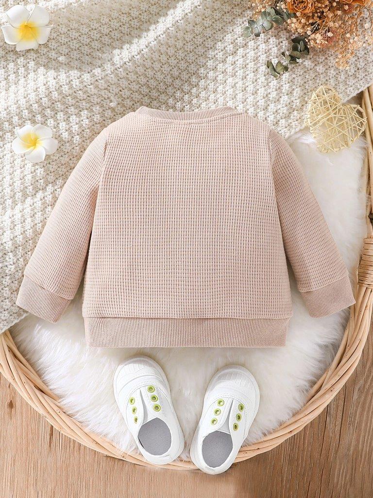 Baby Unisex Rainbow Pullover