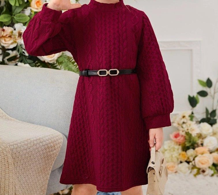Toddler Girls Cable Knit Dress Without Belt
