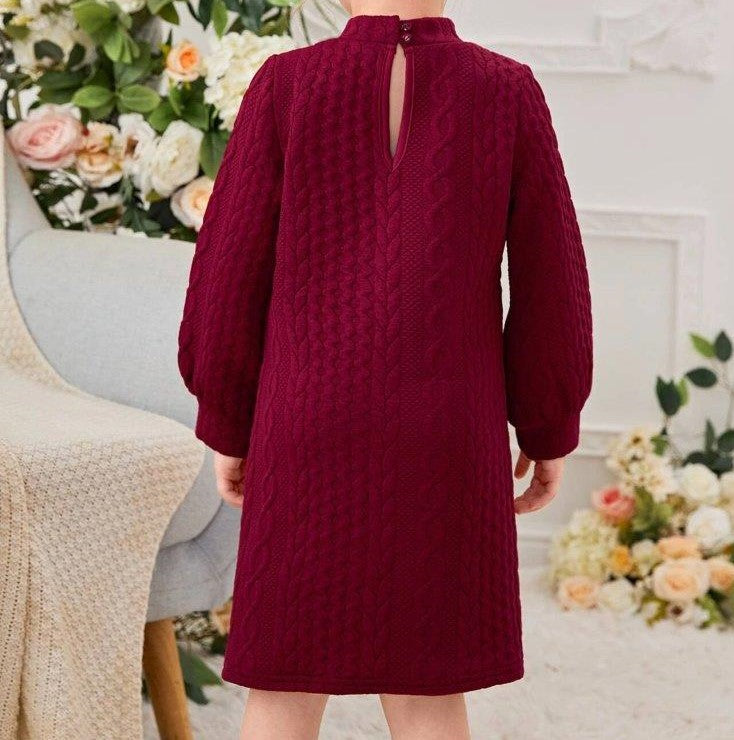 Toddler Girls Cable Knit Dress Without Belt