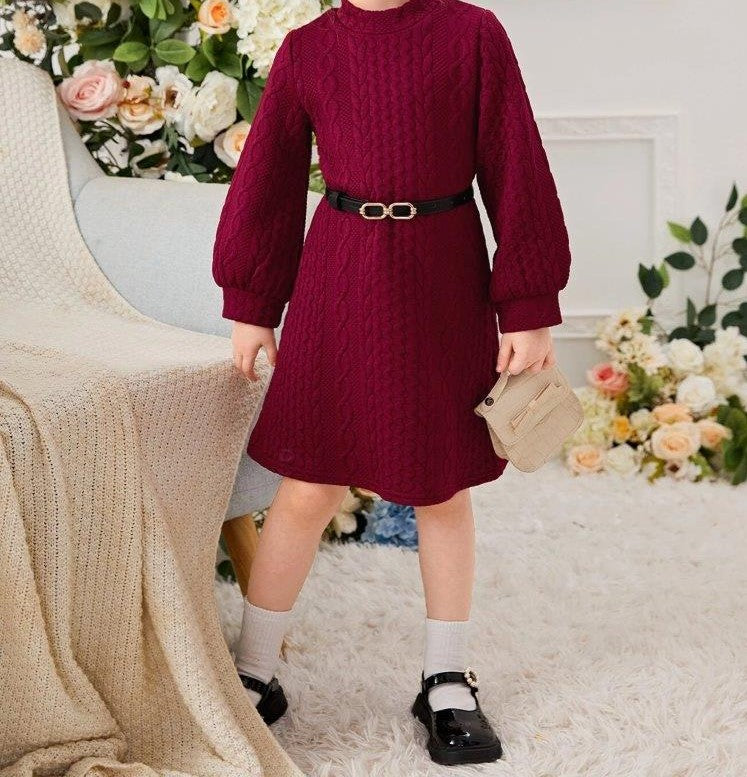 Toddler Girls Cable Knit Dress Without Belt