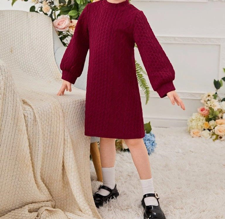 Toddler Girls Cable Knit Dress Without Belt