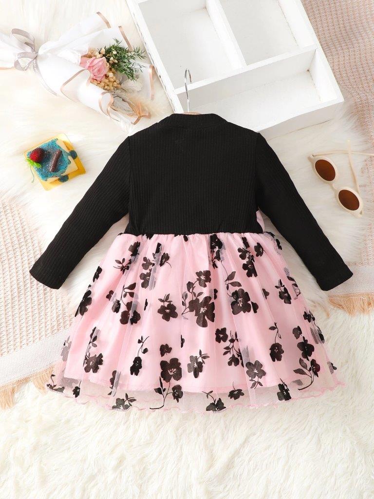 Baby Floral Print Mesh Dress