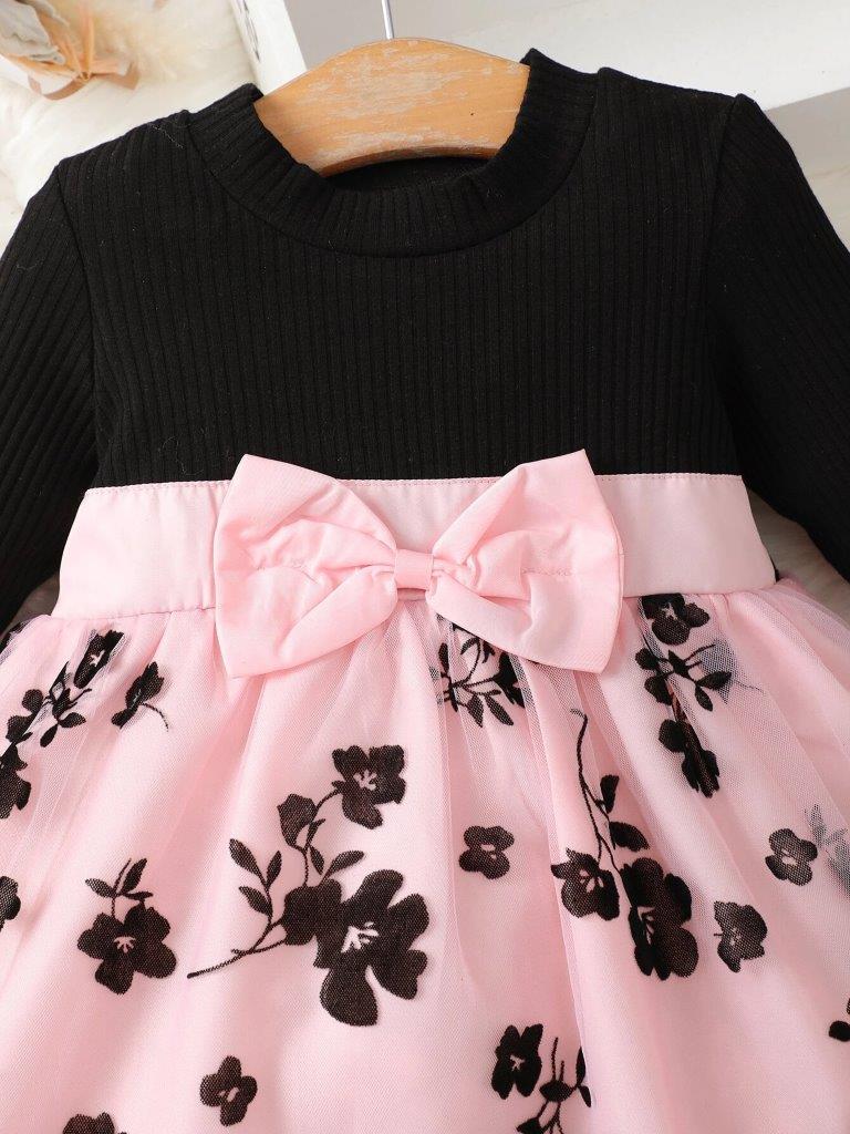 Baby Floral Print Mesh Dress