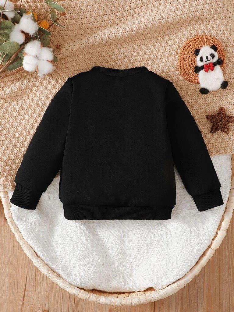 Baby Teddy Pullover