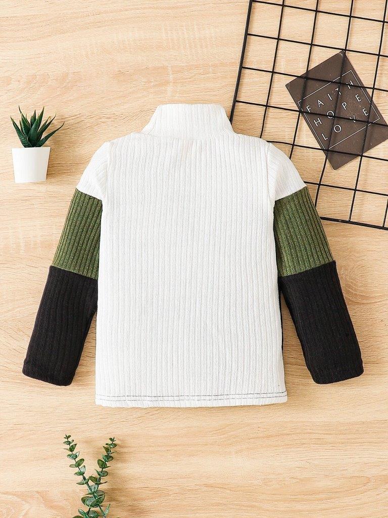 Toddler Boys Colour Block Turtle Tee