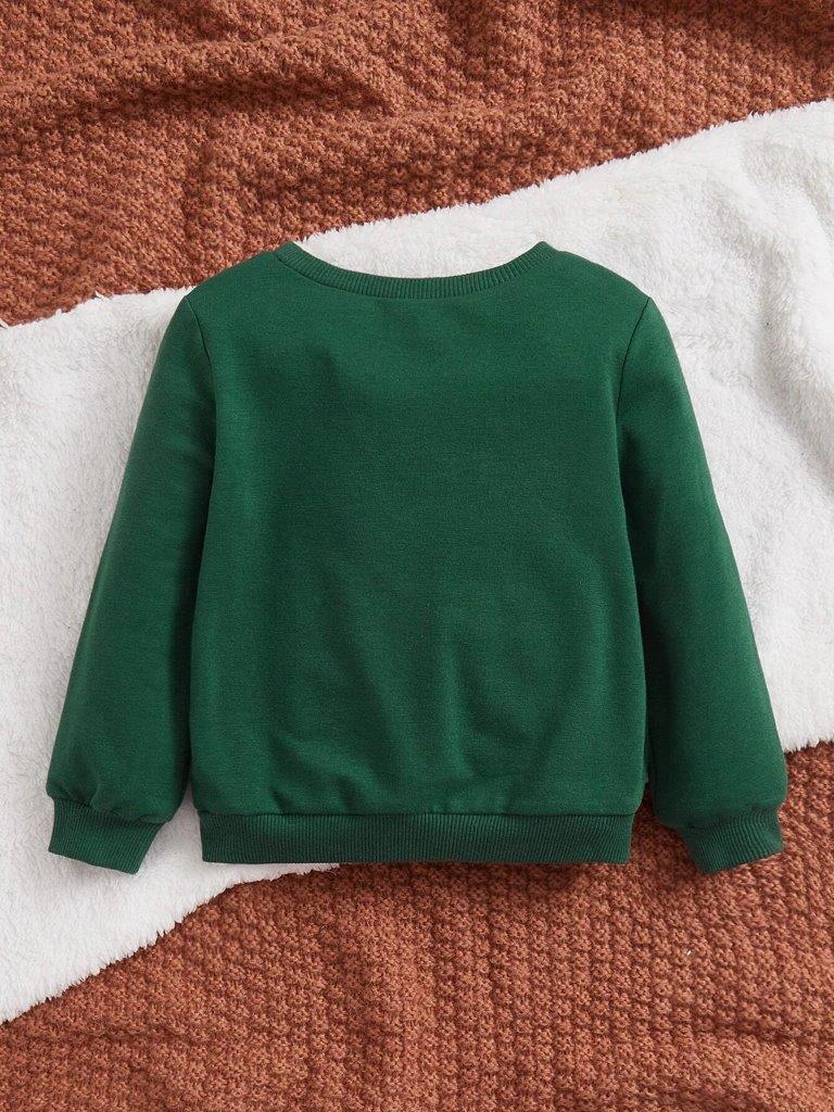 Baby Boston Graphic Sweatshirt