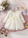 Baby Ruffle Sleeve Lace Dress Set
