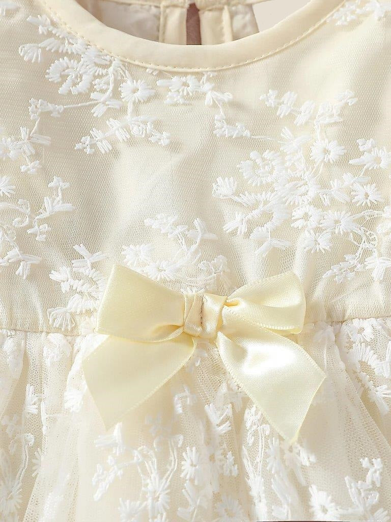 Baby Ruffle Sleeve Lace Dress Set