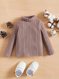 Baby Turtle Neck Top Dusty Purple