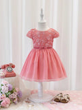 Baby Embroidery Mesh Dress