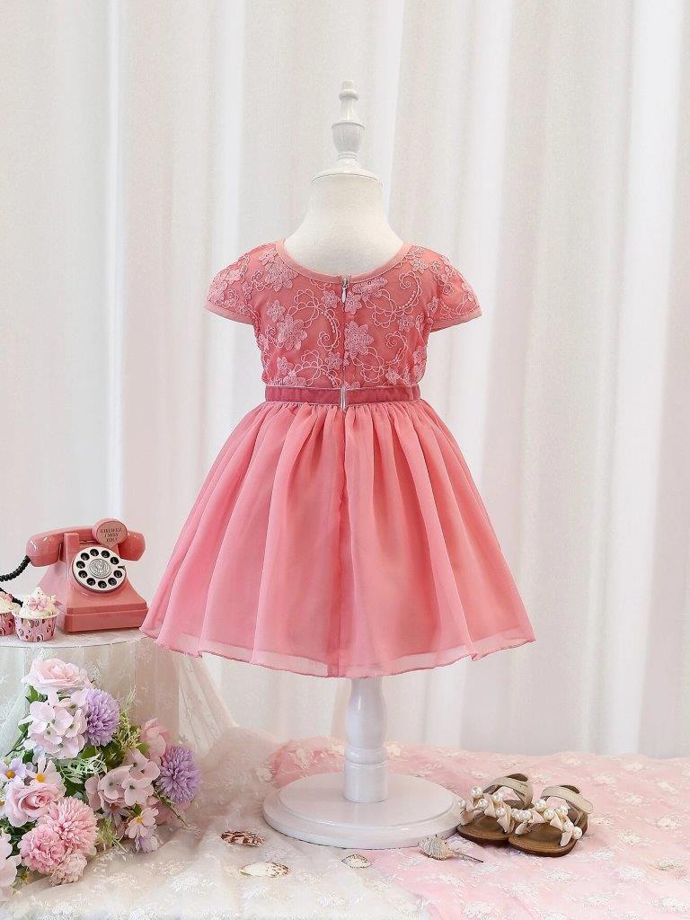 Baby Embroidery Mesh Dress