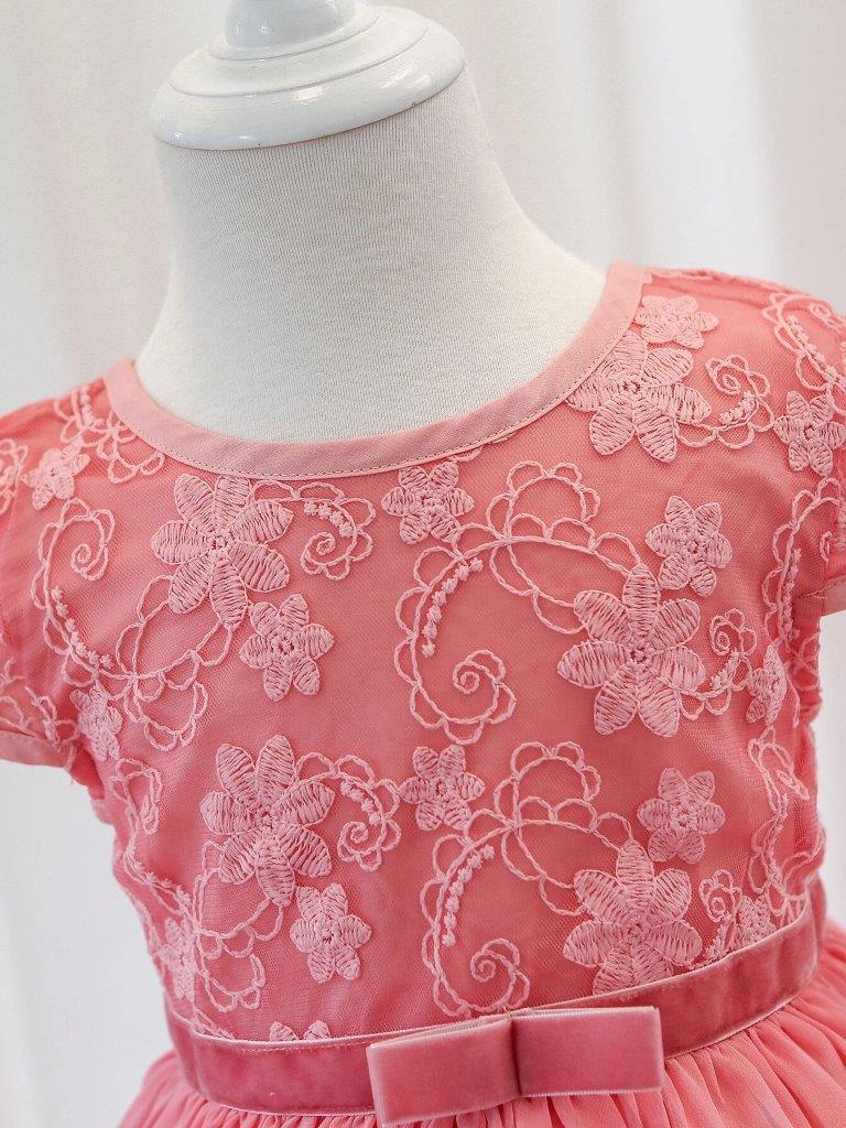Baby Embroidery Mesh Dress
