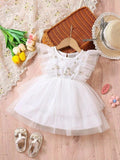 Baby Floral Embroidery Mesh Dress