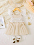 Baby Ruffle Lace Sleeve Dress
