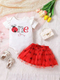 Baby One Year Old Lady Bug Set