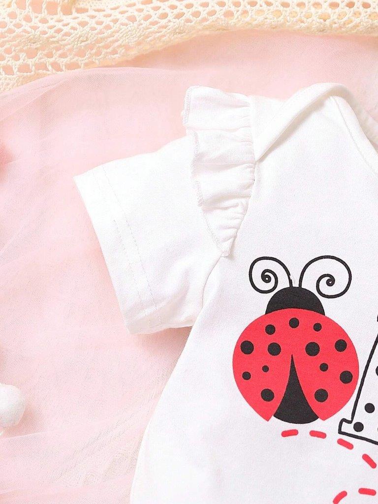 Baby One Year Old Lady Bug Set