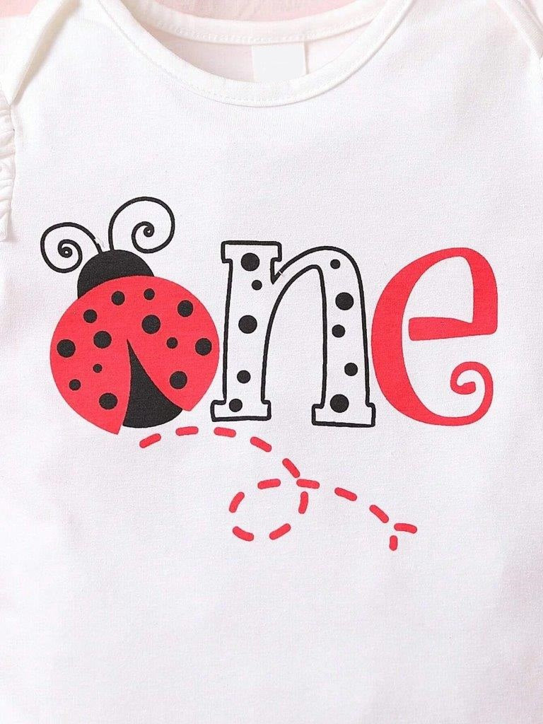 Baby One Year Old Lady Bug Set