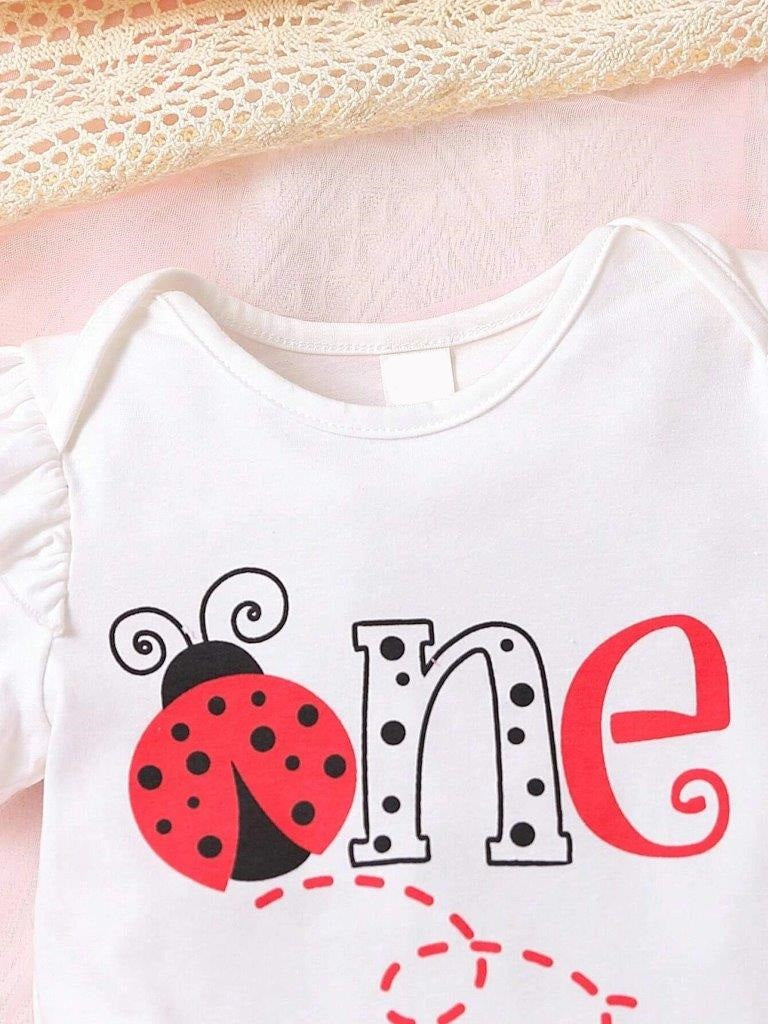 Baby One Year Old Lady Bug Set