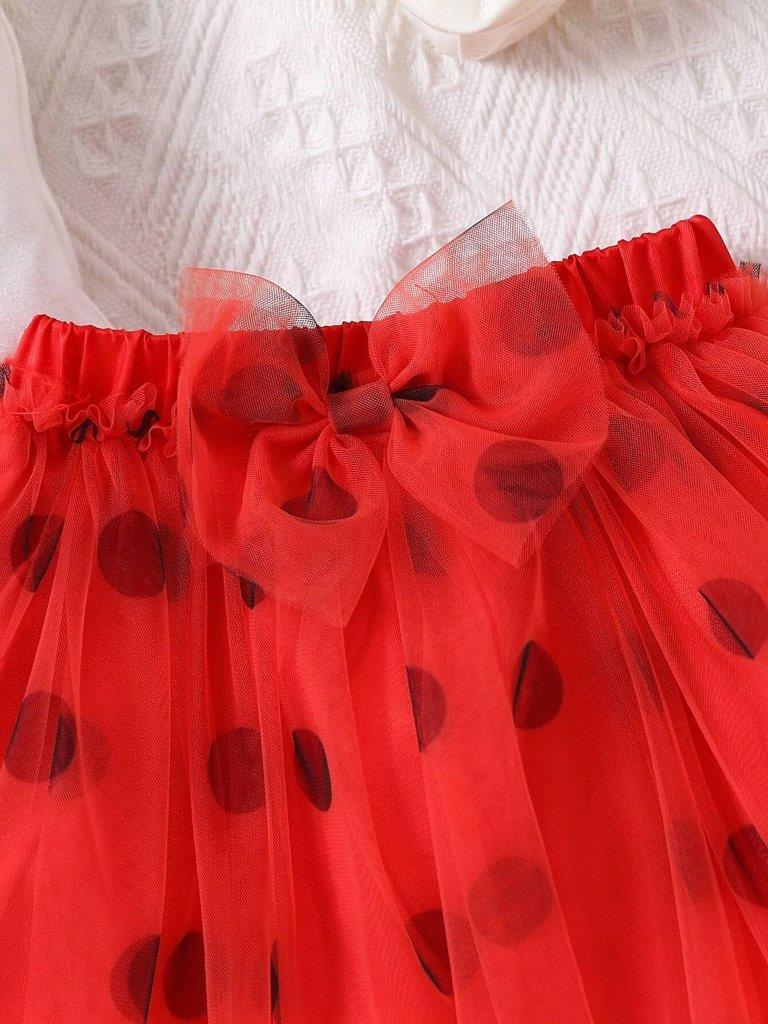 Baby One Year Old Lady Bug Set
