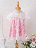 Baby Floral Mesh Dress