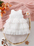 Baby Lace Layer Mesh Dress