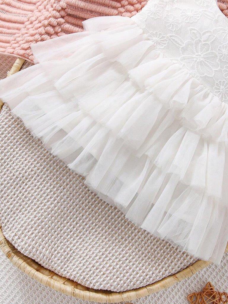 Baby Lace Layer Mesh Dress