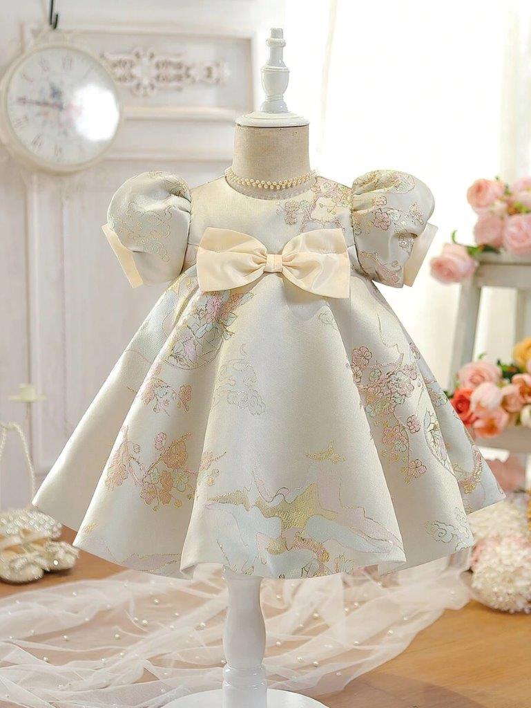 Baby Glamorous Embroidery Princess Dress
