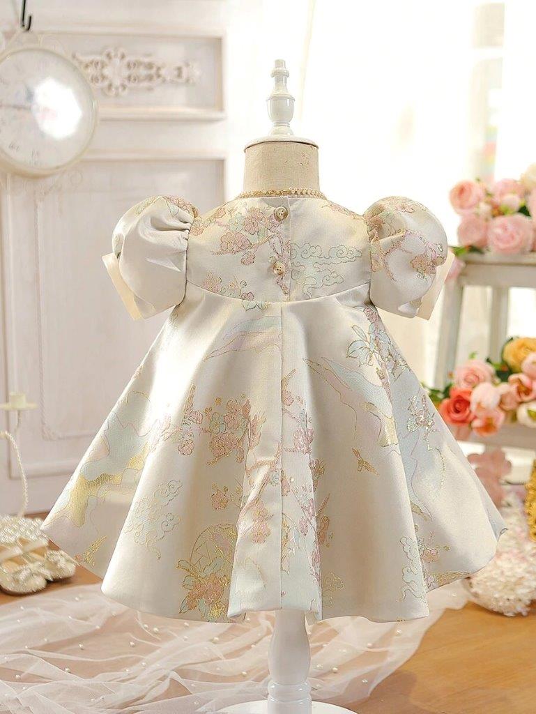 Baby Glamorous Embroidery Princess Dress