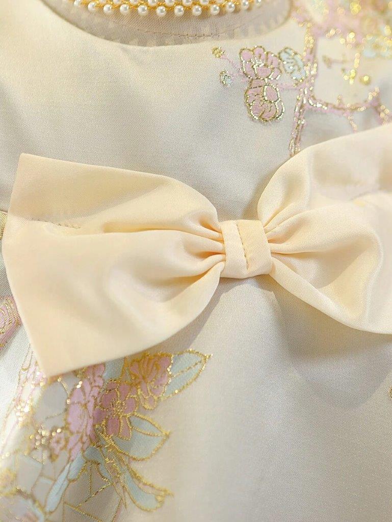 Baby Glamorous Embroidery Princess Dress