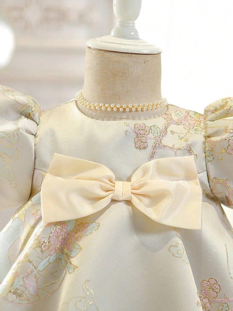 Baby Glamorous Embroidery Princess Dress