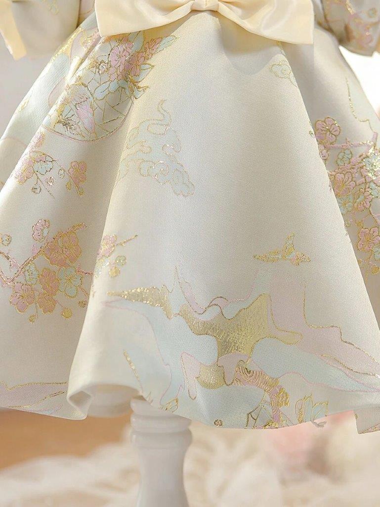 Baby Glamorous Embroidery Princess Dress