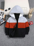 Toddler Boys Colour Block Hooded Jacket