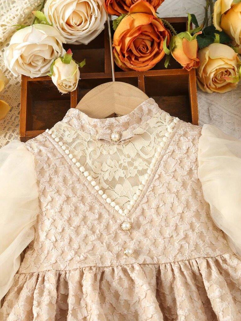 Baby Embroidery Elegant Princess Dress