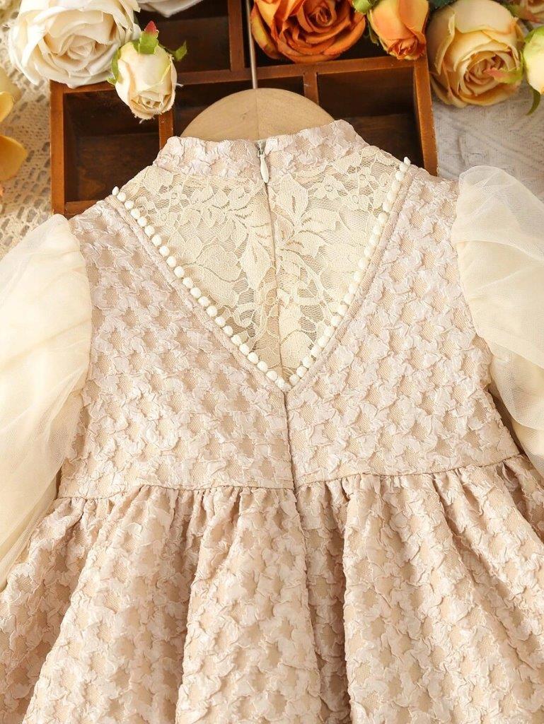 Baby Embroidery Elegant Princess Dress