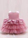 Baby Elegant Pink Mesh Layered Dress