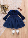 Baby Elegant Velvet Flower Belt Dress