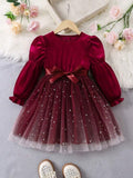 Toddler Girls Burgundy Velvet Sparkling Dress
